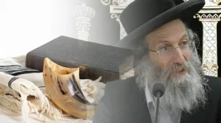 הרב אלימלך בידרמן: הבחור הסתובב עם חליפה חדשה כשהוא לא יודע מה מסתתר בפנים