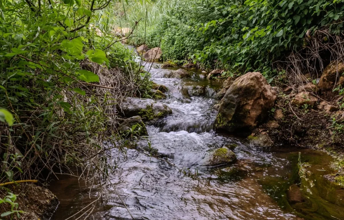 מתקרבים לראש השנה: צפויה התחממות הדרגתית, ובתחילת השבוע צפוי שרב