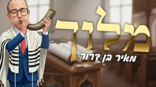 מאיר בן דרור בסינגל חדש - "מלוך"