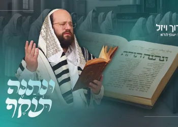 ברוך ויזל - "ונתנה תוקף"