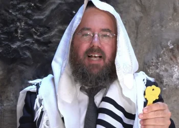 הרב שמשון פוקס בערב יום הדין: זה הפתרון לאתגרי וקשיי היום יום