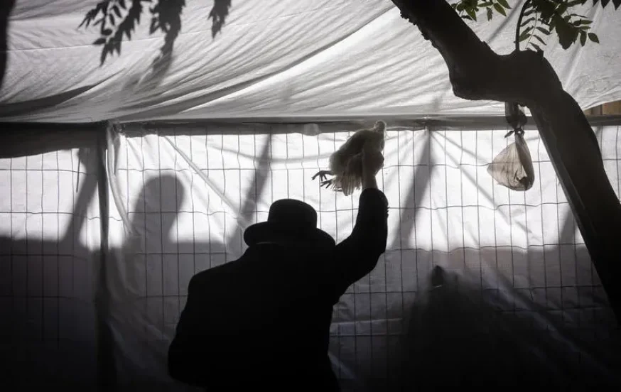 מנהג הכפרות בתרנגול מנהג הכפרות בתרנגול