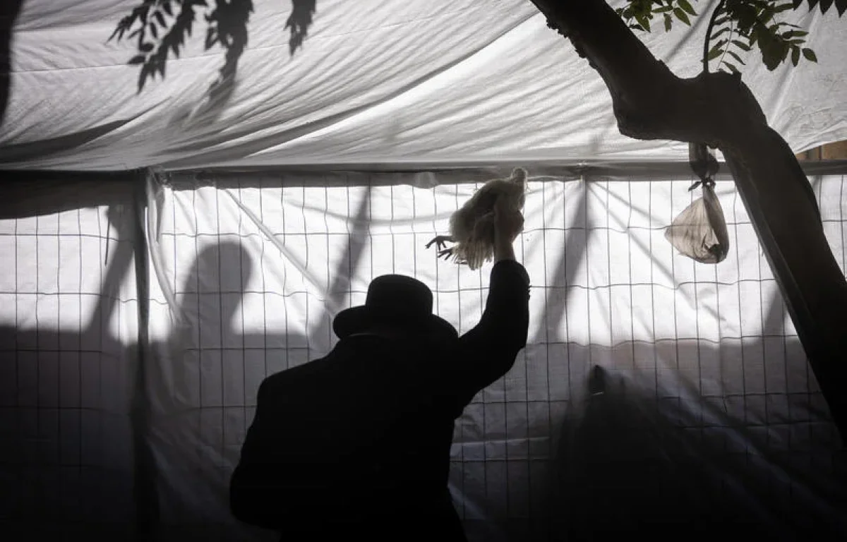 מנהג הכפרות בתרנגול 