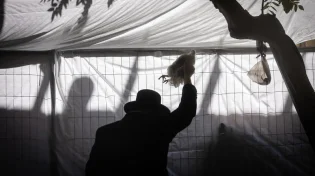 מה הסוד שמסתתר מאחורי מנהג הכפרות העתיק בערב יום הכיפורים?