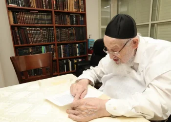 הגרמ"צ ברגמן שליט"א הגרמ"צ ברגמן שליט"א