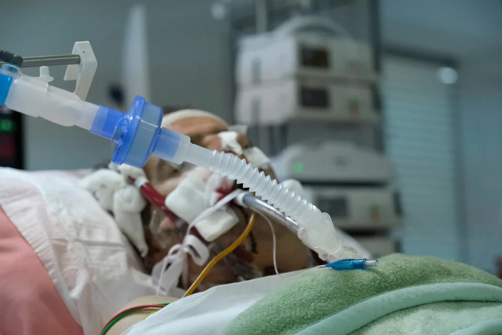 אור חדש במלחמה נגד החיידקים: חוקרים פיתחו אנטיביוטיקה חדשה משתי תרופות ותיקות