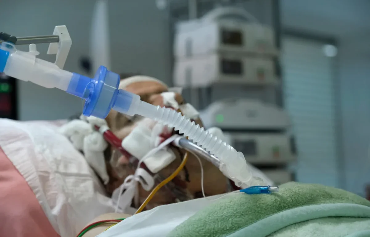 אור חדש במלחמה נגד החיידקים: חוקרים פיתחו אנטיביוטיקה חדשה משתי תרופות ותיקות