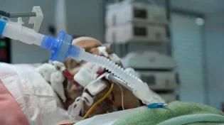 אור חדש במלחמה נגד החיידקים: חוקרים פיתחו אנטיביוטיקה חדשה משתי תרופות ותיקות