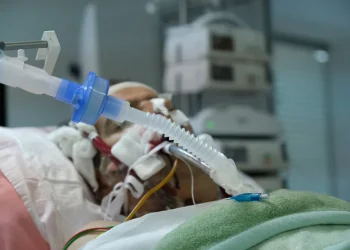 אור חדש במלחמה נגד החיידקים: חוקרים פיתחו אנטיביוטיקה חדשה משתי תרופות ותיקות