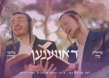 שרוליק כהן ומוישי שווארץ - "דאווענען"