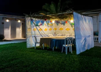כך תהפכו את הסוכה שלכם למקור של שמחה ואור וחוויה לכל המשפחה כך תהפכו את הסוכה שלכם למקור של שמחה ואור וחוויה לכל המשפחה
