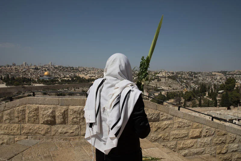 הסוד של ארבעת המינים 