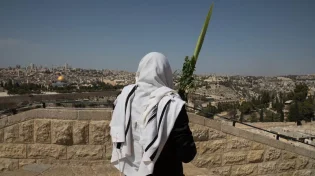 הסוד של ארבעת המינים: מה האתרוג, הלולב, ההדס והערבה מספרים עליך