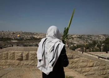 הסוד של ארבעת המינים 