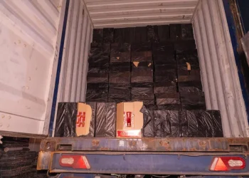 סיגריות במקום טישו: סוכל ניסיון הברחת ענק בנמל אשדוד סיגריות במקום טישו: סוכל ניסיון הברחת ענק בנמל אשדוד