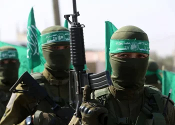 מחלוקת בחמאס סביב מתווה טראמפ: דיונים פנימיים, הסתייגויות ואיומים מצריים