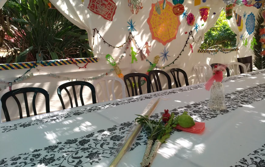 כך תהפכו את הסוכה שלכם למקום שמאיר את הלב - בלי לשבור קופת חיסכון כך תהפכו את הסוכה שלכם למקום שמאיר את הלב - בלי לשבור קופת חיסכון