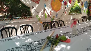 כך תהפכו את הסוכה שלכם למקום שמאיר את הלב - בלי לשבור קופת חיסכון