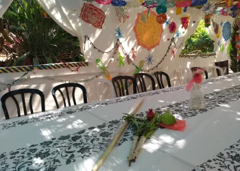 כך תהפכו את הסוכה שלכם למקום שמאיר את הלב - בלי לשבור קופת חיסכון