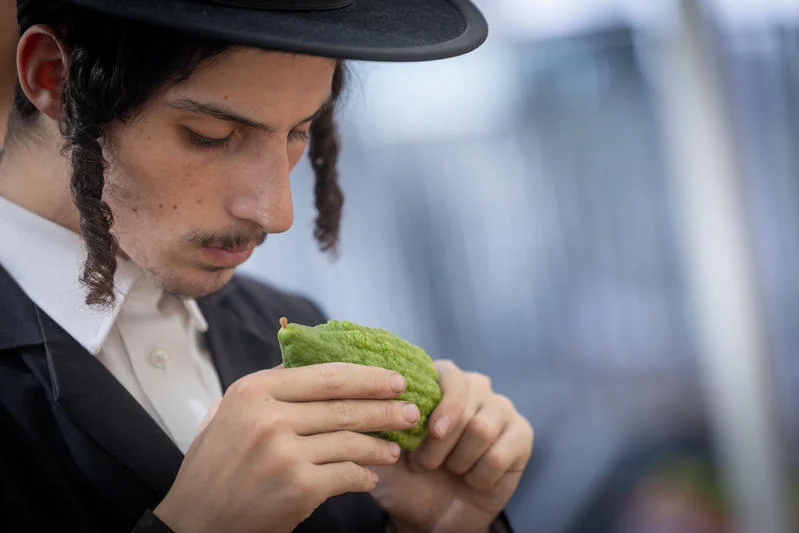 כיסא אחד, שבעה אורחים ושתי סגולות מיוחדות