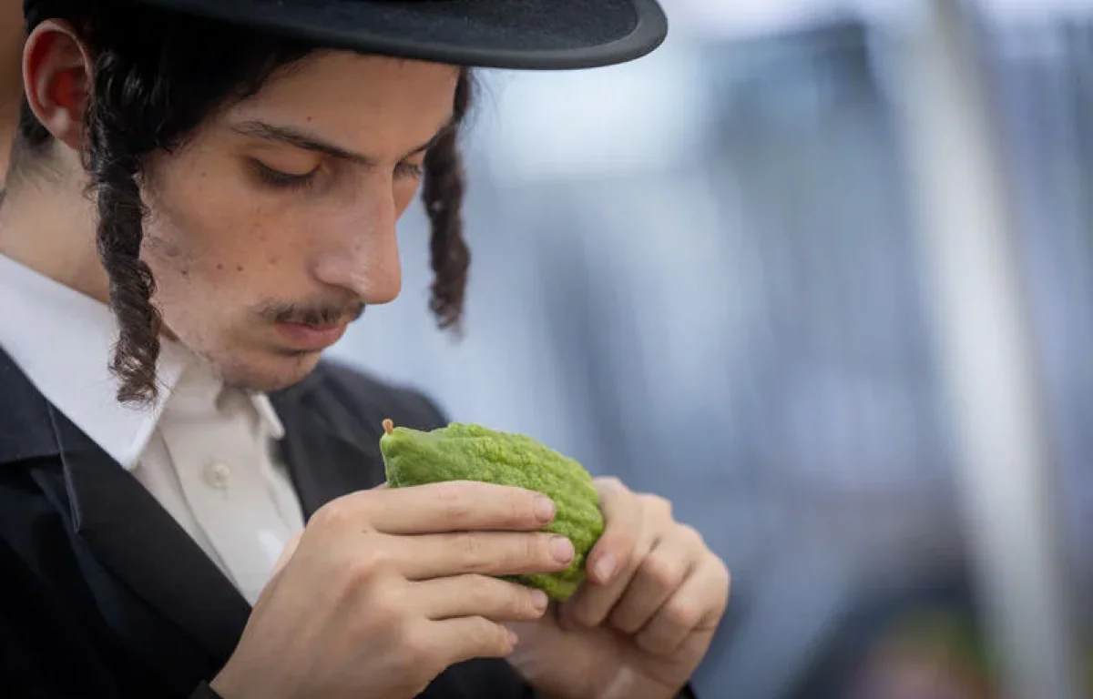 כיסא אחד, שבעה אורחים ושתי סגולות מיוחדות