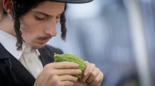 כיסא אחד, שבעה אורחים ושתי סגולות מיוחדות