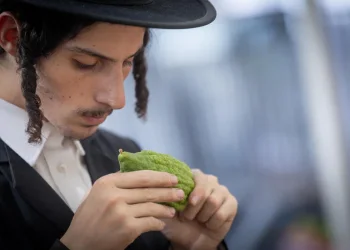 כיסא אחד, שבעה אורחים ושתי סגולות מיוחדות