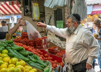 המסע של העגבנייה עד שהיא מגיעה לצלחת שלכם