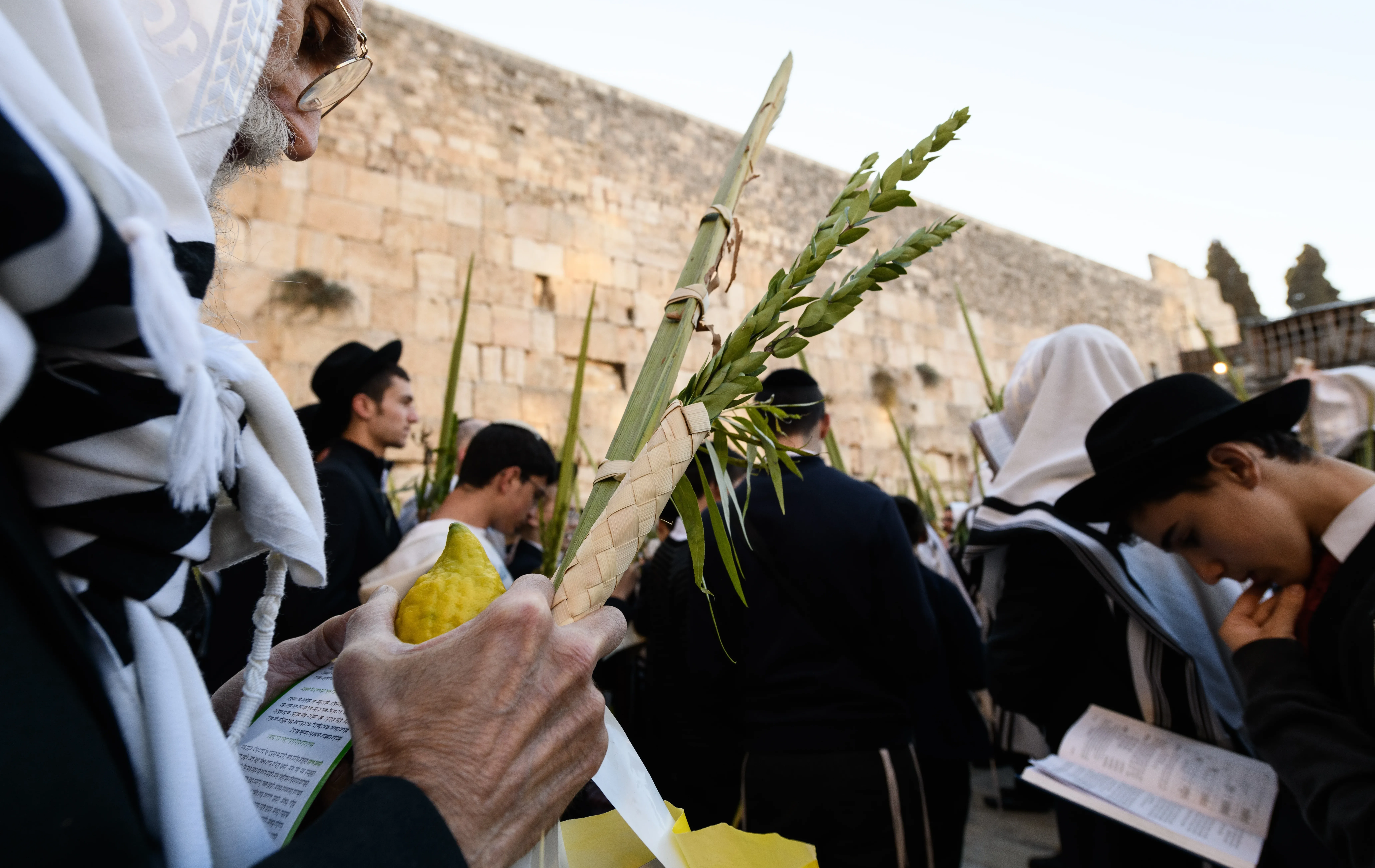 ארבעת המינים מהודרים או בגד לחג לאישה?