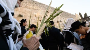 ארבעת המינים מהודרים או בגד לחג לאישה? הרב יניב עזיז שליט"א