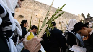 ארבעת המינים מהודרים או בגד לחג לאישה? הרב יניב עזיז שליט"א