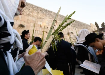 ארבעת המינים מהודרים או בגד לחג לאישה?