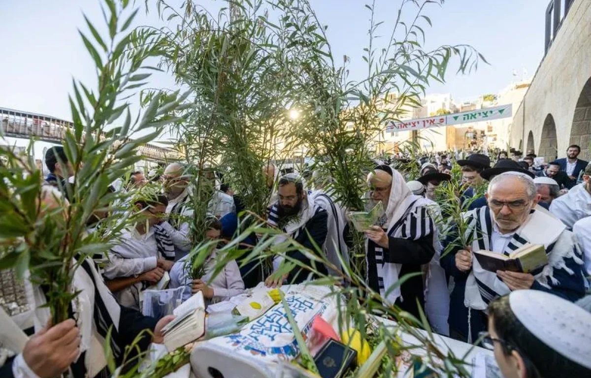 היום שבו הכול נחתם בשמיים