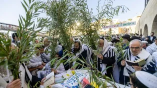 היום שבו הכול נחתם בשמיים: הסוד הנסתר של הושענא רבה שכל יהודי חייב לדעת