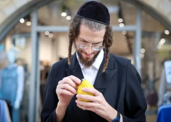 הרב ארז קדוסי חושף: הסוד העתיק של "כיסא האושפיזין" שפותח שערי שפע בסוכה