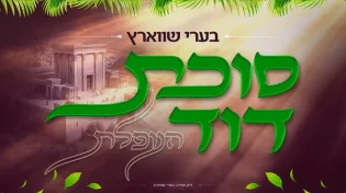 בערי שווארץ בסינגל מרגש לסוכות: "סוכת דוד"