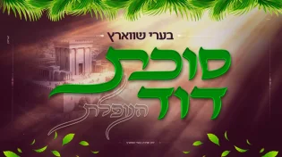 בערי שווארץ בסינגל מרגש לסוכות: "סוכת דוד"