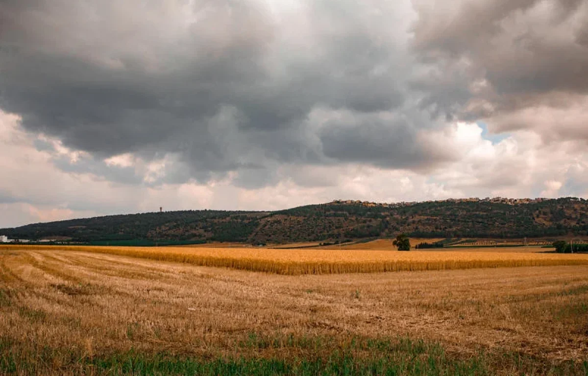 מזג האוויר לקראת החג: צפויה ירידה בטמפרטורות ובשמחת תורה התחממות