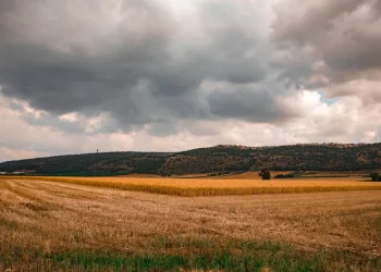 מזג האוויר לקראת החג: צפויה ירידה בטמפרטורות ובשמחת תורה התחממות