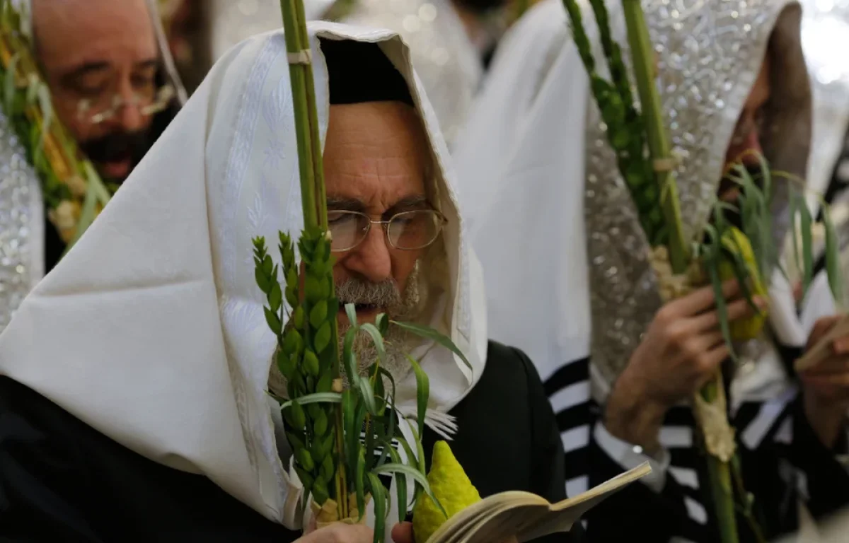 "לילה של הכרעה": הרב ארז קדוסי מסביר את הסוד הכמוס של הושענא רבה "לילה של הכרעה": הרב ארז קדוסי מסביר את הסוד הכמוס של הושענא רבה