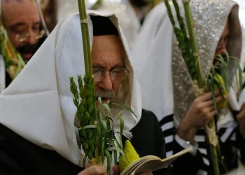 "לילה של הכרעה": הרב ארז קדוסי מסביר את הסוד הכמוס של הושענא רבה "לילה של הכרעה": הרב ארז קדוסי מסביר את הסוד הכמוס של הושענא רבה