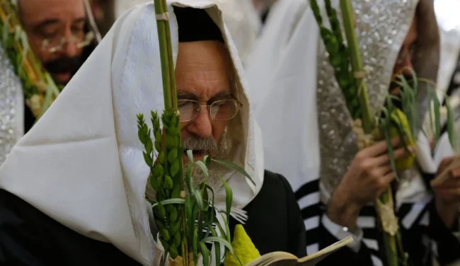 "לילה של הכרעה": הרב ארז קדוסי מסביר את הסוד הכמוס של הושענא רבה