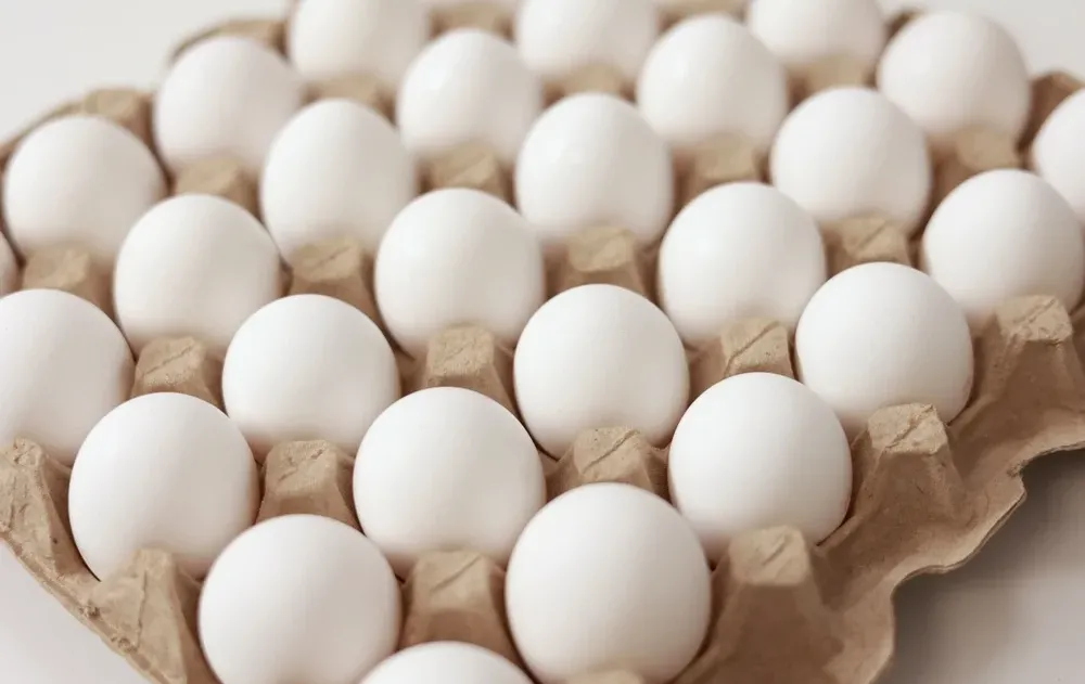 לאחסן ביצים במקרר. תדעו שזה לא הדבר הכי האידאלי 