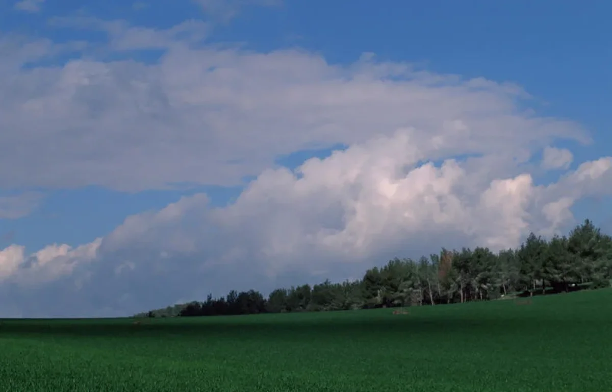 סוף שבוע נעים בסימן הסתיו: שמיים בהירים וטמפרטורות רגילות לעונה
