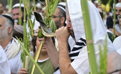 הסוד של הושענא רבה: מה יהודי "רגיל" יכול ללמוד מהערבה