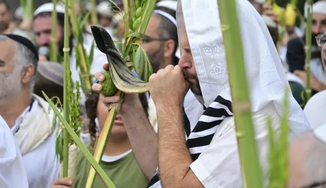 הסוד של הושענא רבה: מה יהודי "רגיל" יכול ללמוד מהערבה