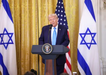 דונלד טראמפ דונלד טראמפ