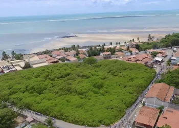 "כעץ שתול על פלגי מים": מברזיל מגיע סיפור שמלמד על כוח התורה