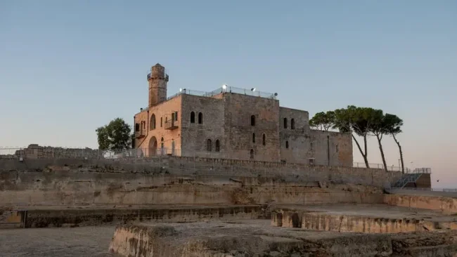 לאורם של צדיקים: מה מביא אלפי יהודים לציון שמואל הנביא?