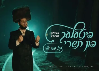 שרוליק הורביץ &ndash; "קול פנו אלי"